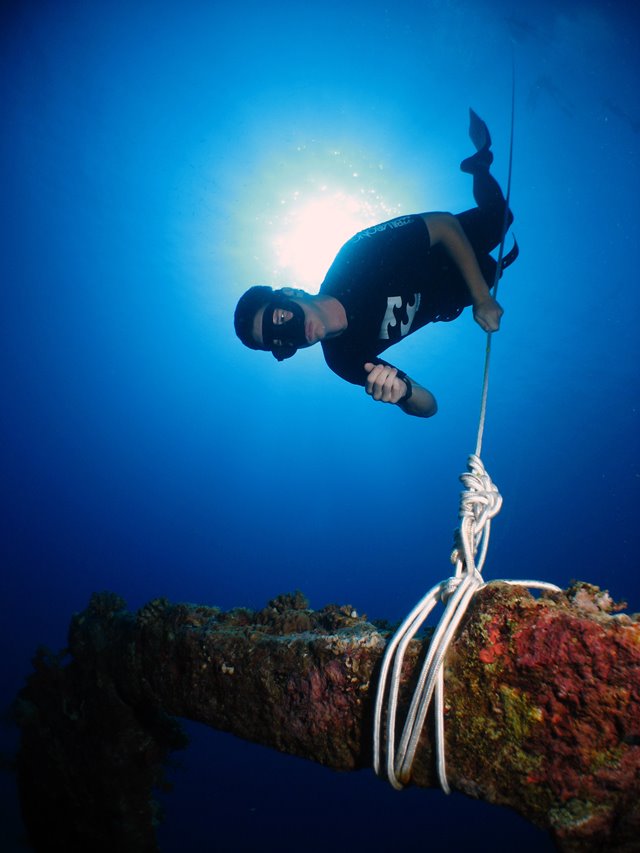 Freediver on line on Dunraven wreck, Red Sea, Egypt